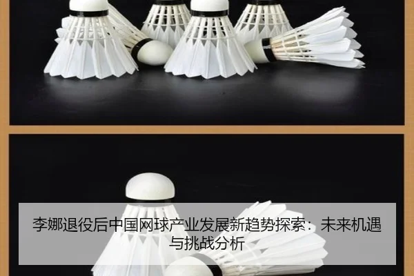 李娜退役后中国网球产业发展新趋势探索：未来机遇与挑战分析