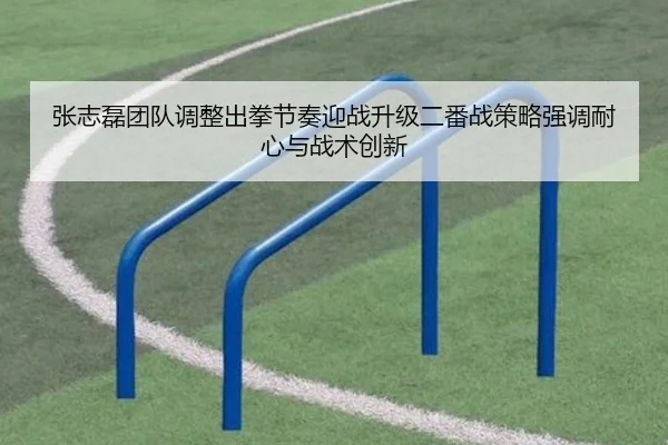 张志磊团队调整出拳节奏迎战升级二番战策略强调耐心与战术创新