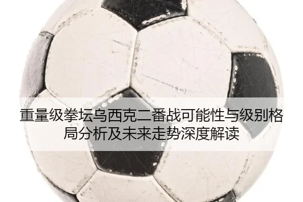 重量级拳坛乌西克二番战可能性与级别格局分析及未来走势深度解读